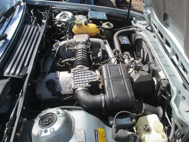 guada0323-22.jpg
