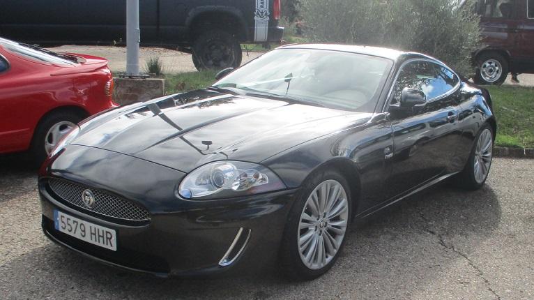 guada1024-35.jpg