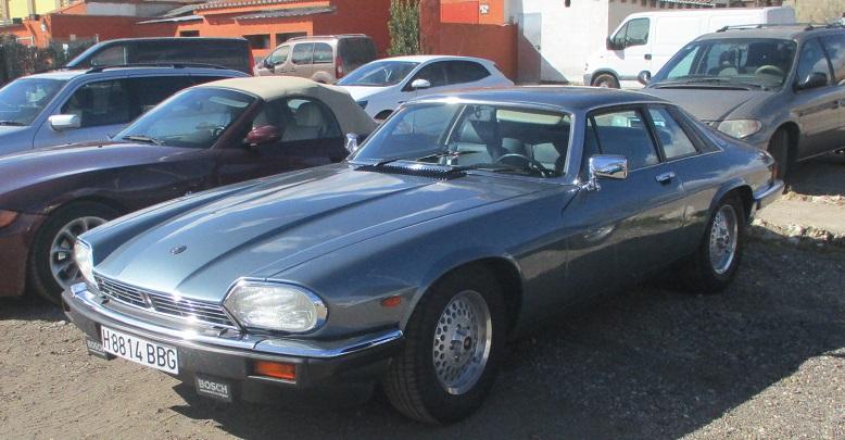 guada0223-06.jpg