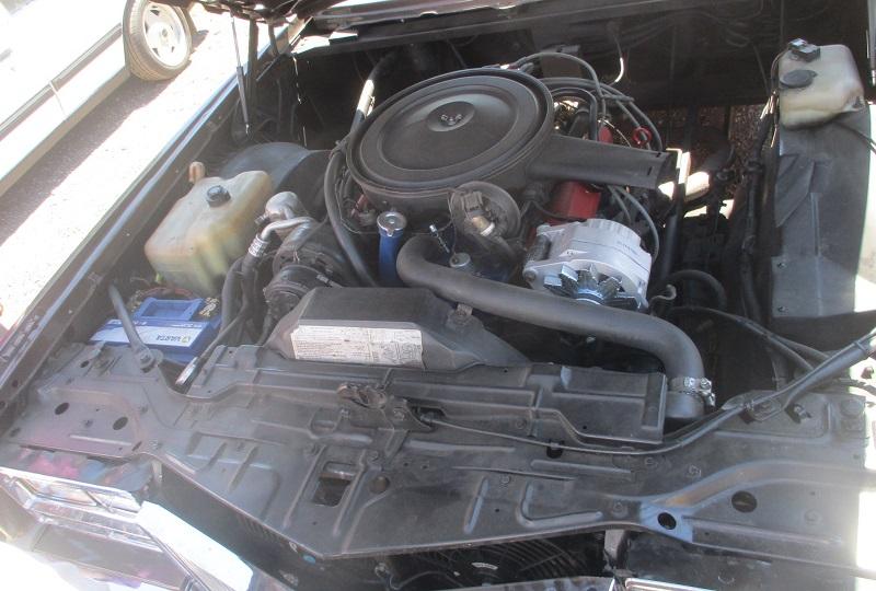 guada0624-23.jpg
