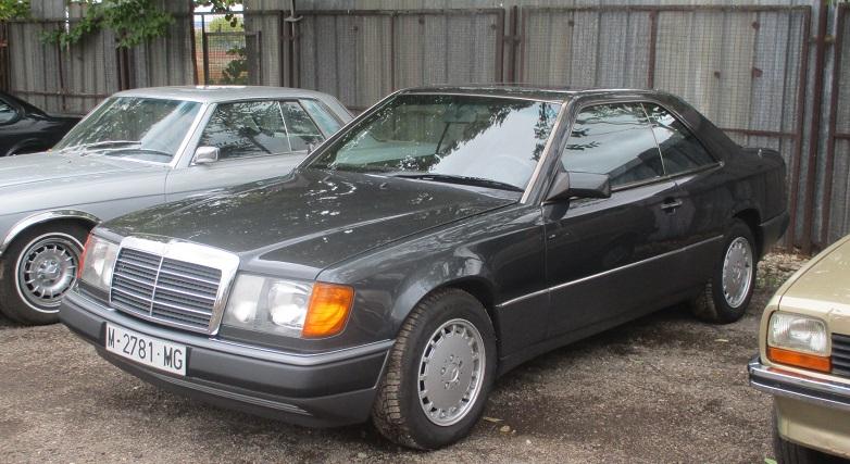 guada1022-12.jpg