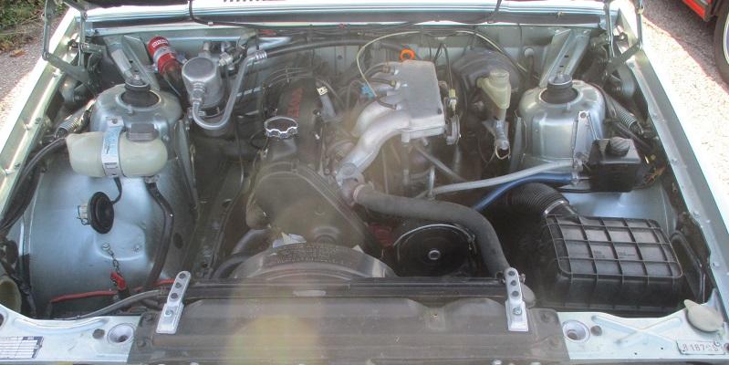 guada1124-18.jpg