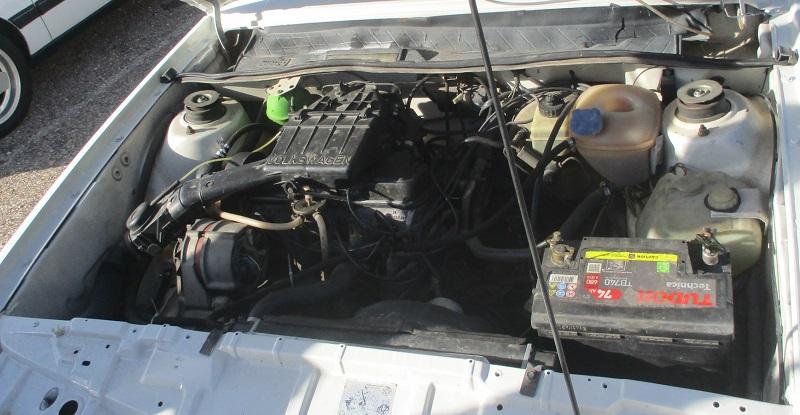 guada1124-05.jpg