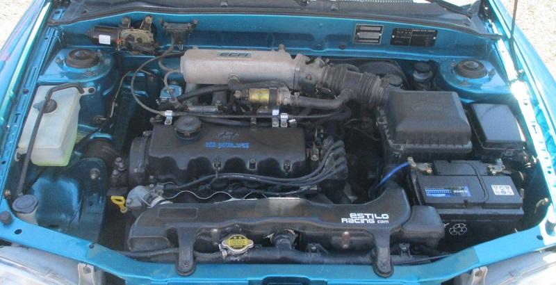guada0624-06.jpg