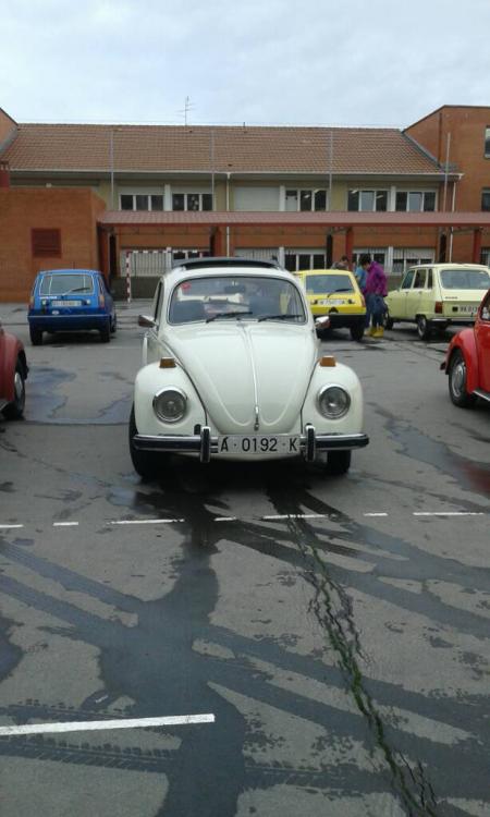 2095f9586bcd74c7e1d402ca6854432d.jpg