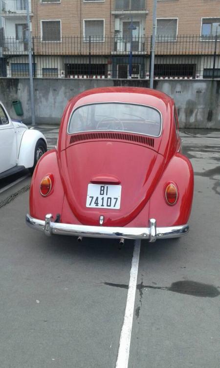 ea9cf6fcf7090d864b922ecaada342ed.jpg
