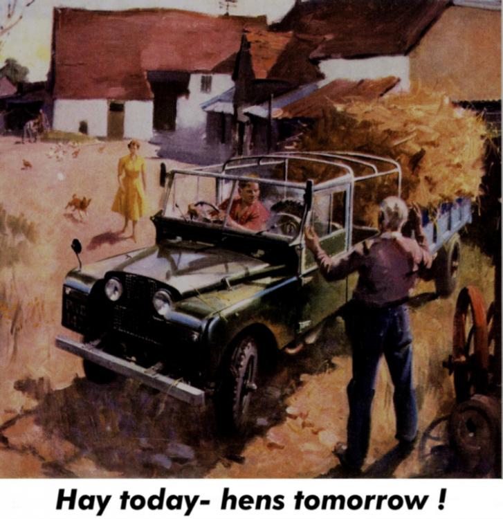 COL62_Land_Rover_Series_1_1951.jpg