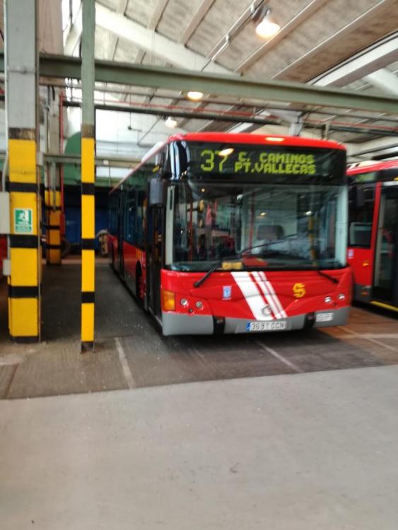 IMG-20190414-WA0172.jpg