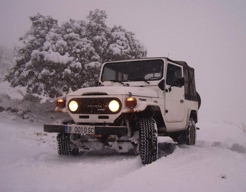 troncomovil nieve.jpg