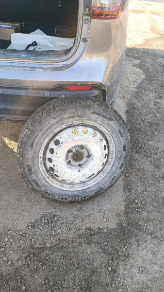 IMG-20260731-WA0141.jpeg