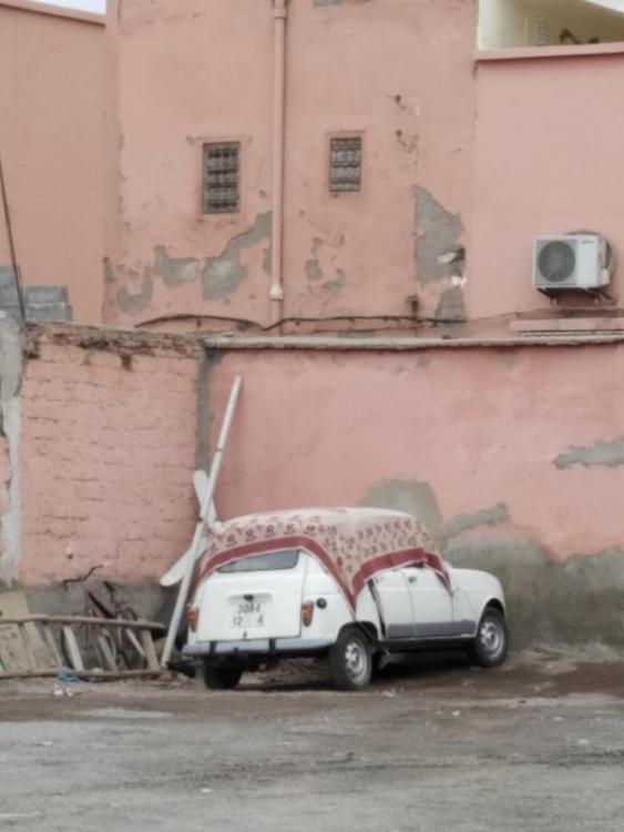 76912831-10215040567984415-6883623383280