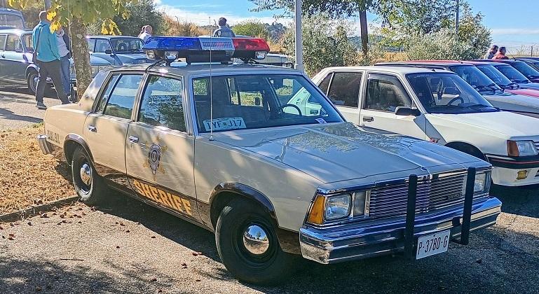 qO56Ucli_o.jpg
